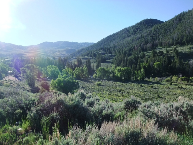 Go Wild in the Country – Frisco to Hot Sulphur Springs